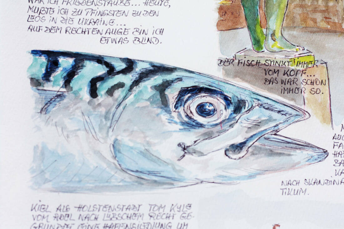 Makrele, Detail aus dem „Kieler Käseblatt“ 