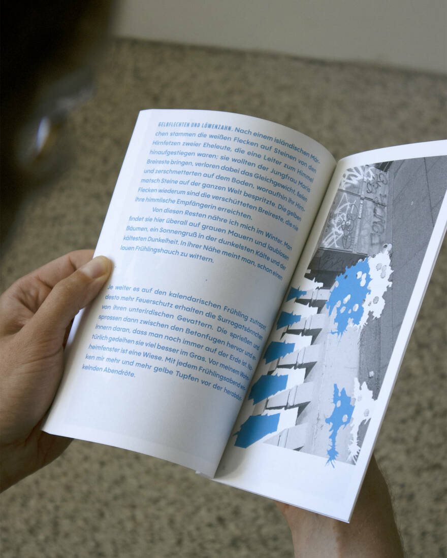 Stirnholz Verlag, Kaspar Pansegrau (Designer) und Nikolai Ziemer (Verleger) Einblick in »Isländer beim Traubenessen« von Birger Niehaus, erschienen 2022 im stirnholz Verlag