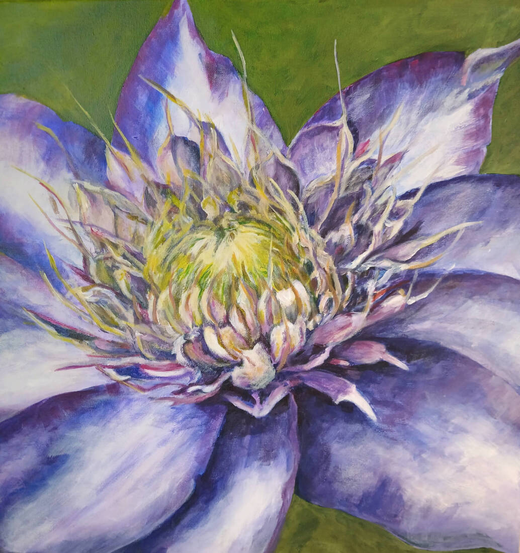 Clematis, 2025, 50 × 50 cm, Acryl