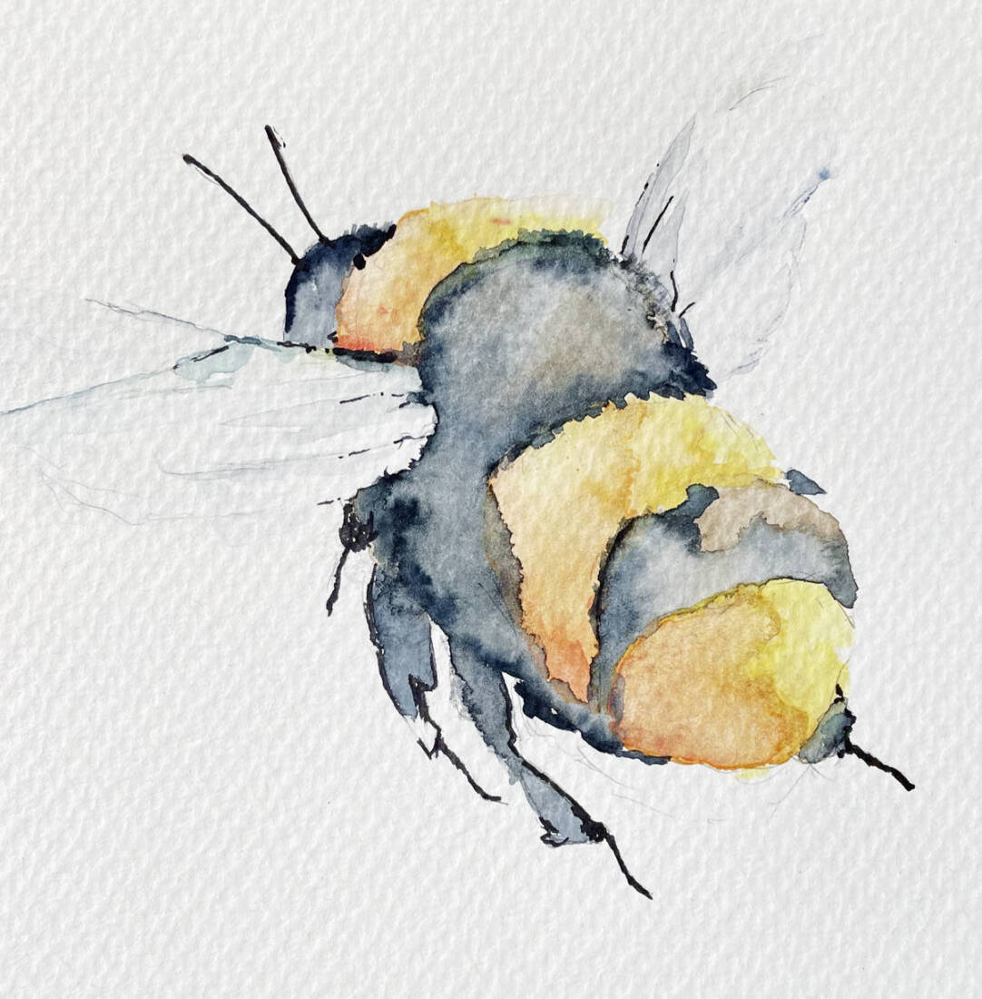 Hummel, 2023, Aquarell, 20 × 20 cm