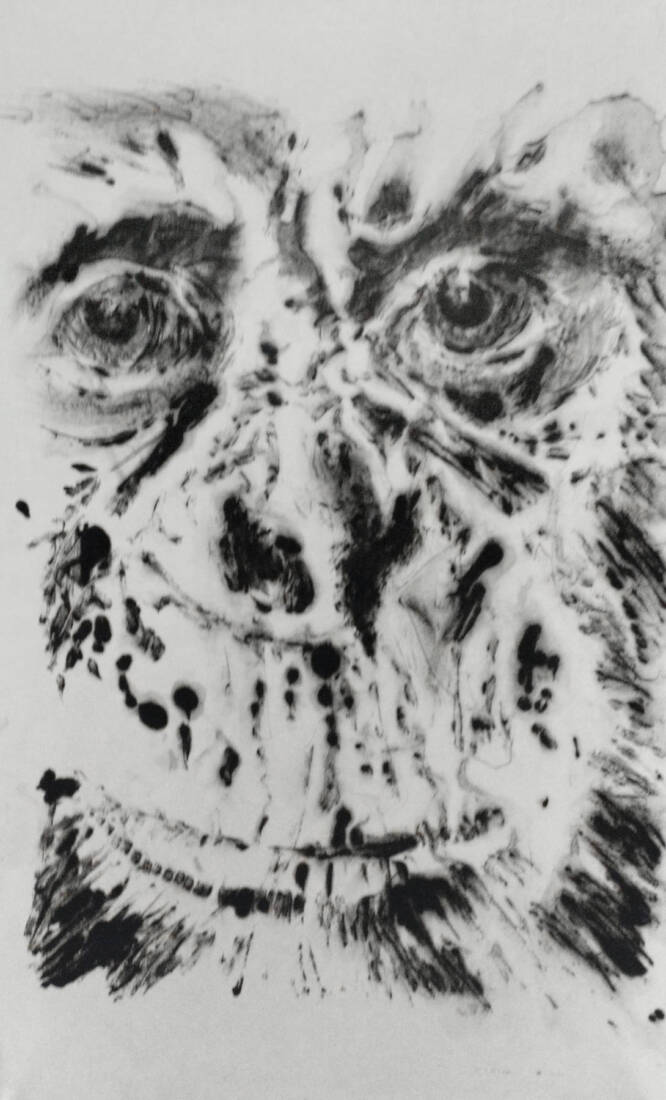 Bonobo, 2007, Duotypie, 80 × 50 cm