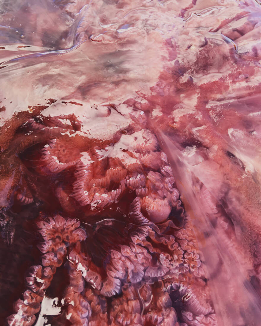 Die Enden eines Kreises – Renate, 2022, Fotografie, 100 × 80 cm