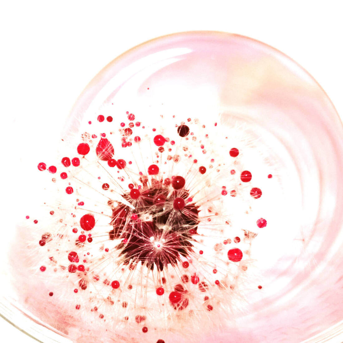 rot, 2023, Aquarell , Fotoinstallation