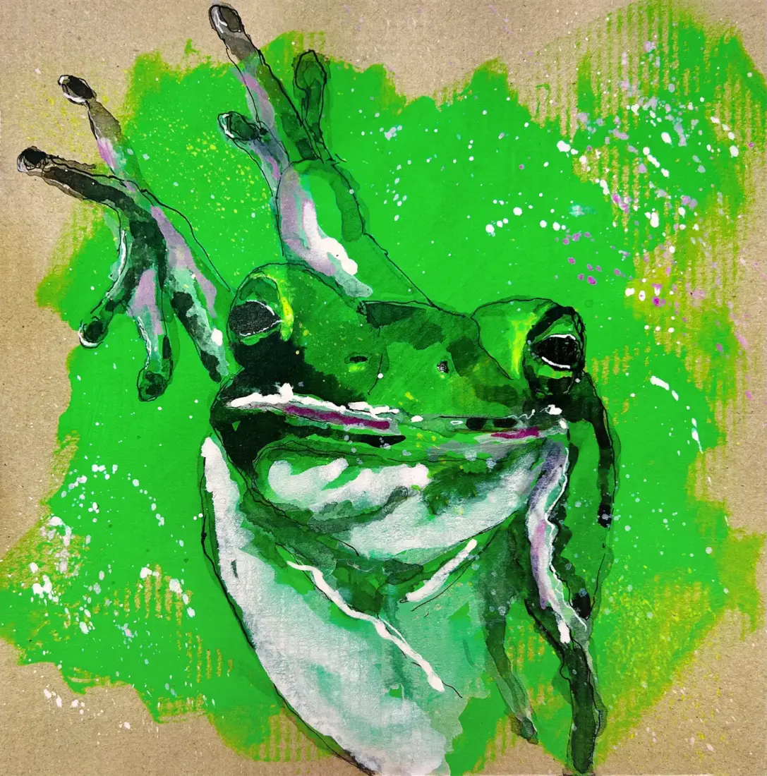 Tanja Schwenn, Frosch